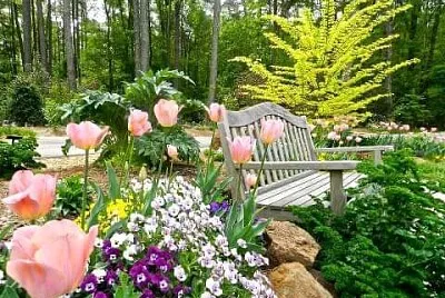 jardÃ­n jigsaw puzzle