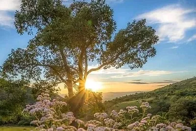 פאזל של paisaje