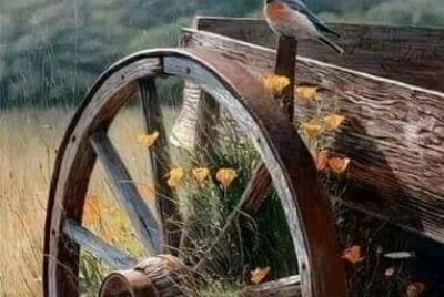 animales