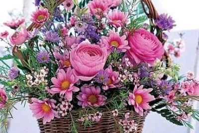 flores