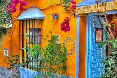 flores