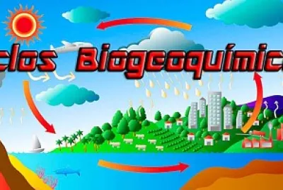 CICLOS BIOGEOQUIMICOS