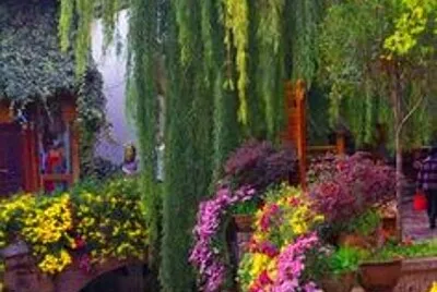 paesaggi jigsaw puzzle