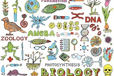 פאזל של imÃ¡genes biologÃ­a