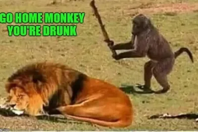 lol