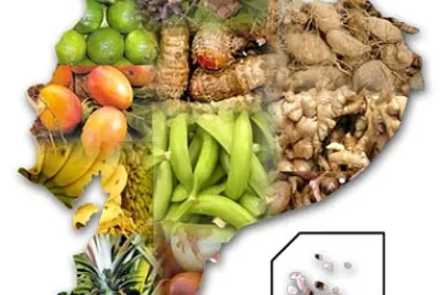 פאזל של Productos del Ecuador