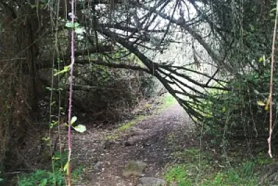 פאזל של Belver, Portugal