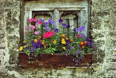 ventanaÂ´Â´