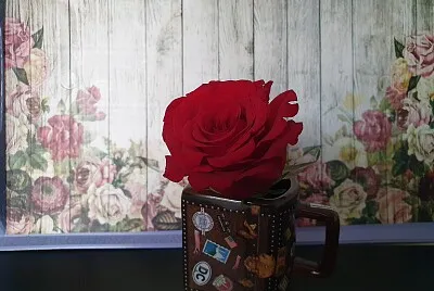 red rose jigsaw puzzle