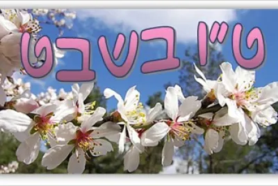 פאזל של ×˜×• ×‘×©×‘×˜