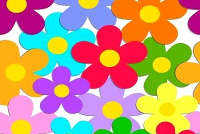 draw
