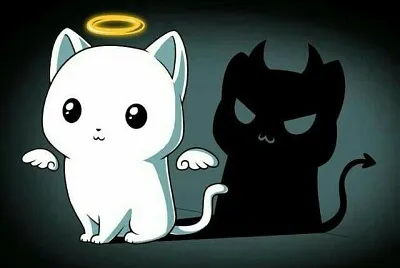 Gato malicioso