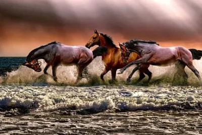 Foto jigsaw puzzle