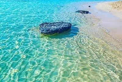 פאזל של CENÃRIO K346