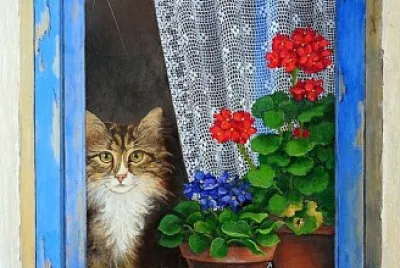 gato