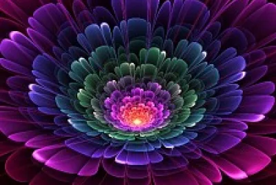 Beautiful Flower