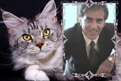 cawboy jigsaw puzzle