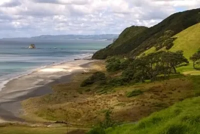 NZ