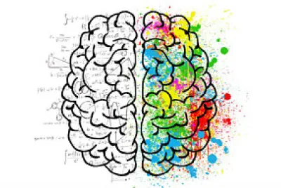 פאזל של cerebro