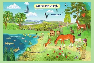 medii de viata