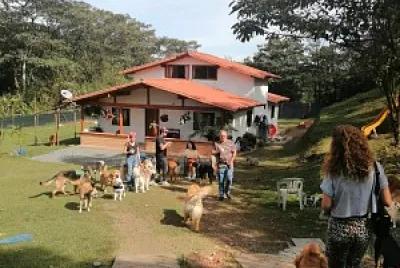colegio canino