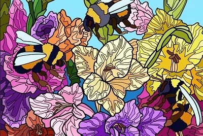 COLORIDO