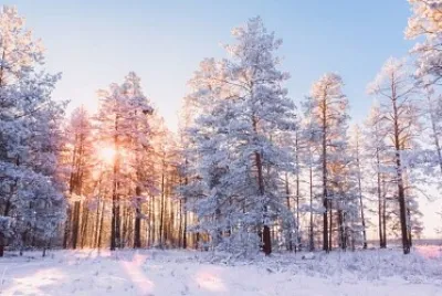 פאזל של Invierno