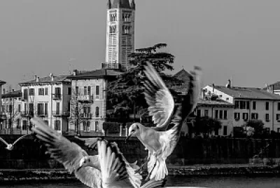 verona cocai jigsaw puzzle