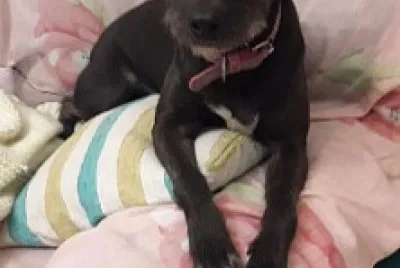 MI NEGRITA