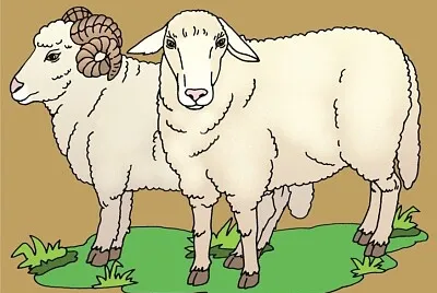 פאזל של Oaia