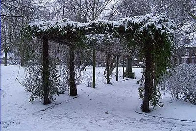 Victoria Park Pergola, Ilkeston jigsaw puzzle