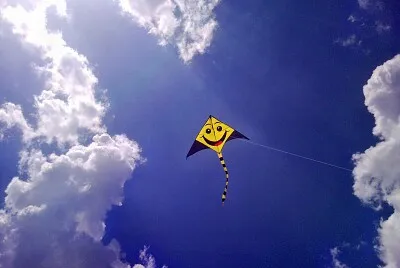 Pipa