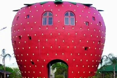 ×‘×™×ª ×ª×•×ª jigsaw puzzle