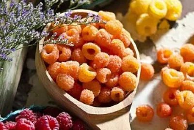 frutas