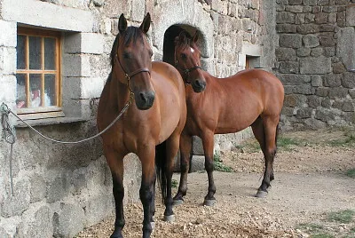 Lozere