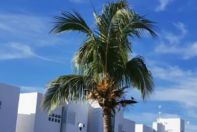 פאזל של CANCUN Q. ROO