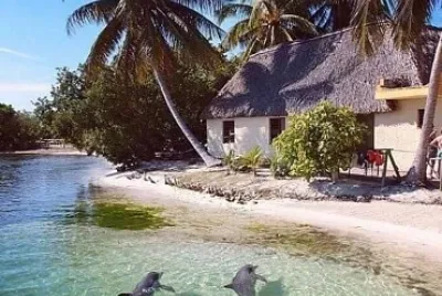 world jigsaw puzzle