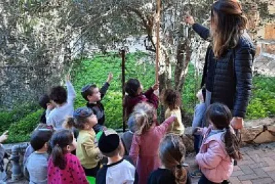 ×¤××–×œ ×’×Ÿ ×¡×™×ž×” ×•×—×’×™×ª
