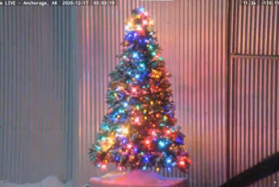 Xmas tree outside hanger at Lake Hood Sea Plane Ba jigsaw puzzle