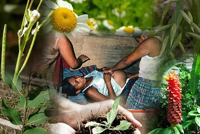 פאזל של medicina inca