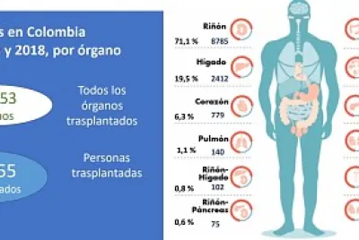 ESTADISTICAS TRASPLANTES