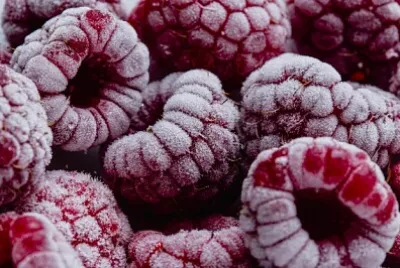 fruits