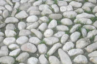 × ×¨××” ×œ×™ ×©×–×” × ×§×¨× ×—×œ×•×§×™ × ×—×œ....