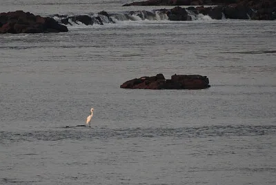 Salto Chico (RÃ­o Uruguay - Concordia)