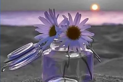 פאזל של CENÃRIO K364