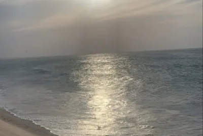 פאזל של CENÃRIO K366