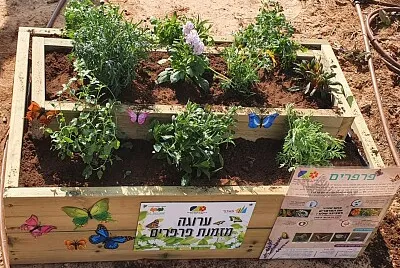 ×¢×¨×•×’×” ×ž×–×ž× ×ª ×¤×¨×¤×¨×™× jigsaw puzzle