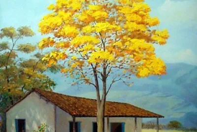 YpÃª amarelo