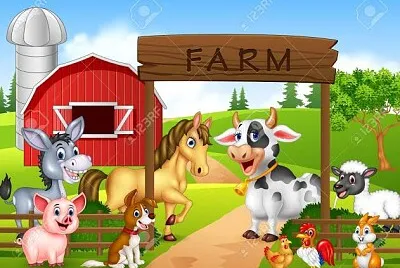 Farm
