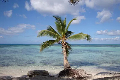 Ã®le excursion
